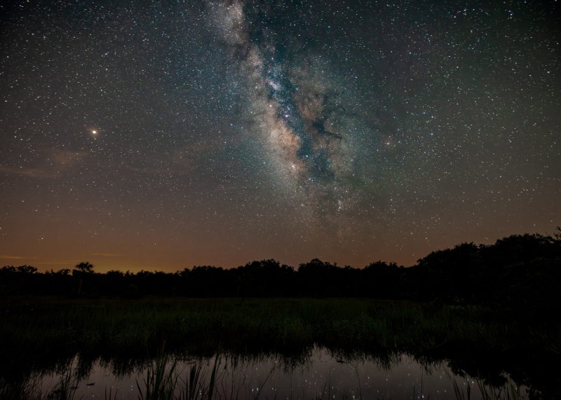 Displayed in 5 x 7 Aspect Ratio