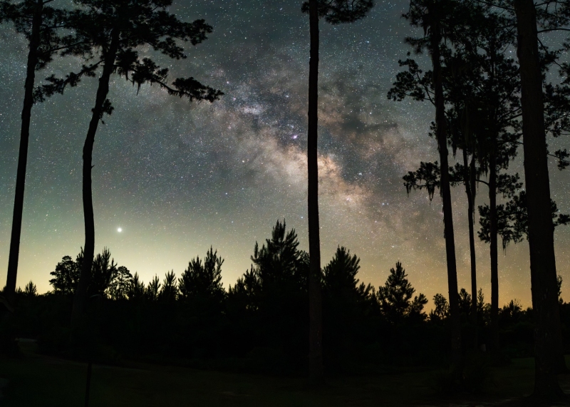 Displayed in 5 x 7 Aspect Ratio