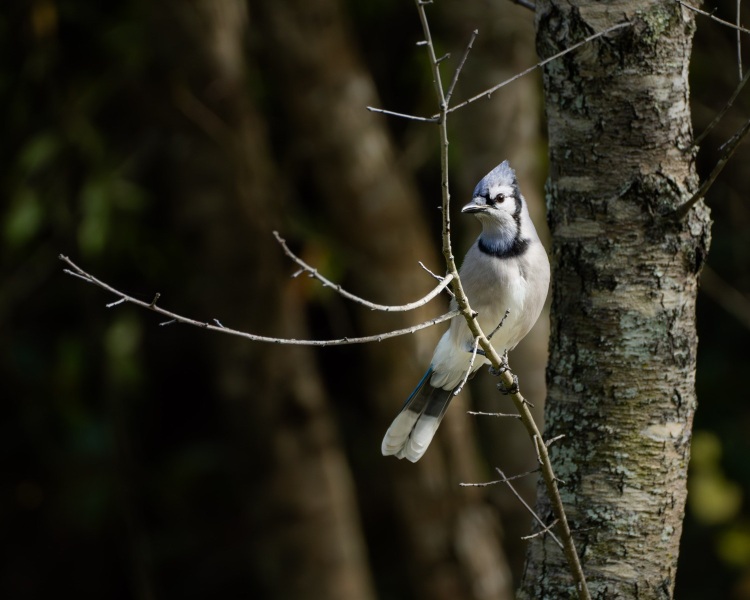 Captured in Tarpon Springs, Florida, United States. Displayed in 8 x 10 Aspect Ratio. Available in various sizes. Images for home office or hotels.