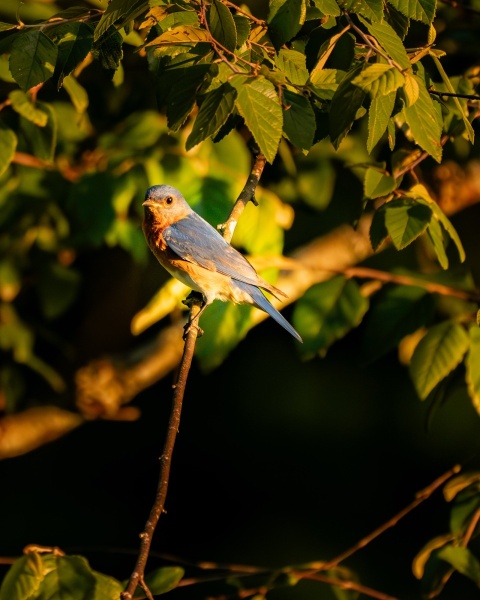 Captured at James H. "Sloppy"  Floyd State Park, Georgia, Unided States. Displayed in 8 x 10 Aspect Ratio. Available in various sizes. Images for home office or hotels.. Available in various sizes. Images for home office or hotels.