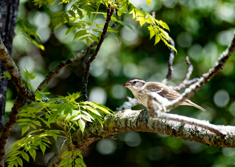 Captured in Tarpon Springs, Florida, United States. Displayed in 5 x 7 Aspect Ratio. Available in various sizes. Images for home office or hotels.
