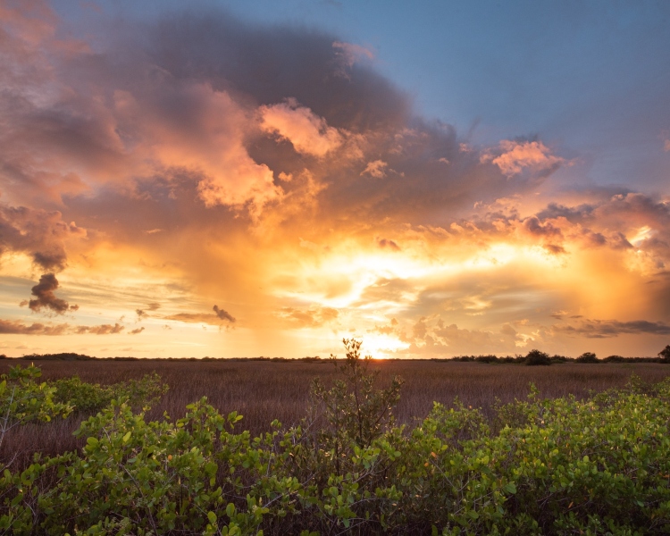 Captured in Port Richey, FL. Displayed in 8 x 10 Aspect Ratio. Images for home, office or hotels