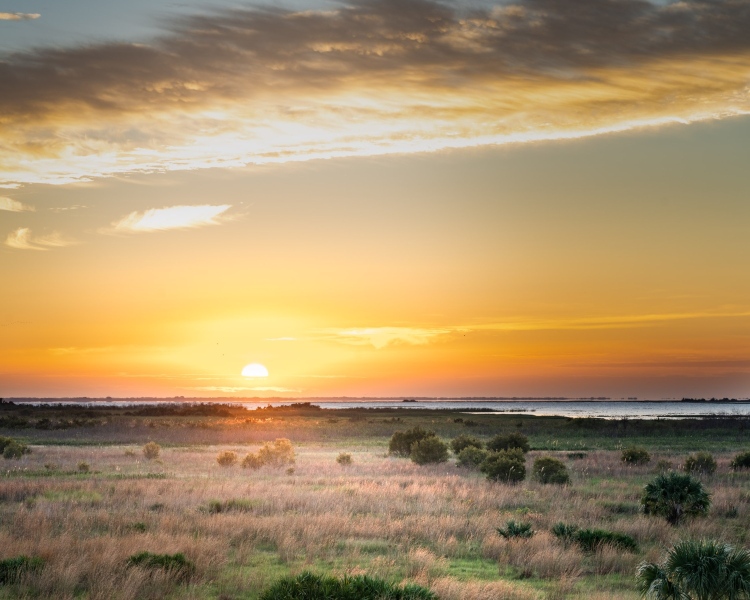 Captured near Lake Wales, Florida. Displayed in 8 x 10 Aspect Ratio. Images for home, office or hotels