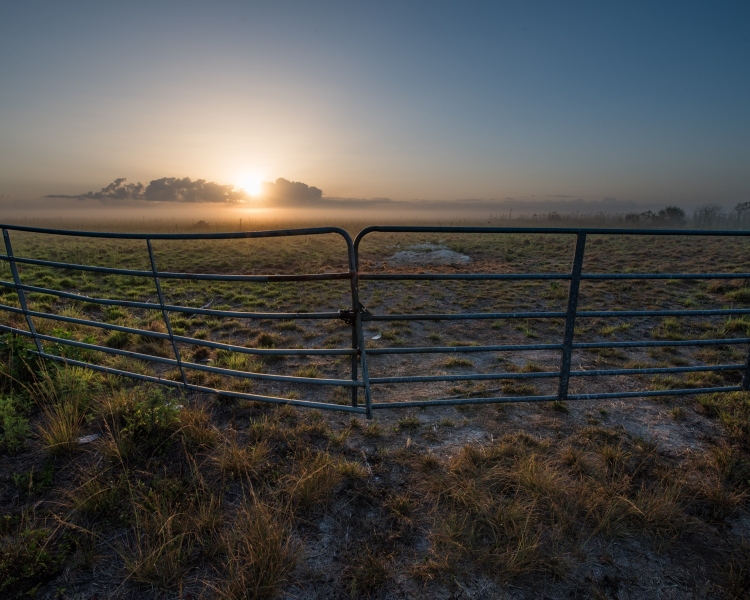 Captured Near Clewiston, Florida. Displayed in 8 x 10 Aspect Ratio. Images for home, office or hotels