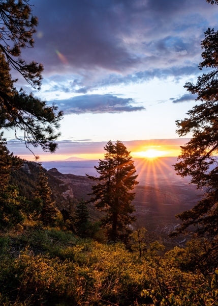 Captured near the North Rim of the Grand Canyon. Displayed in 5 x 7 Aspect Ratio. Images for home, office or hotels