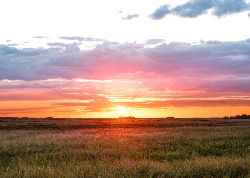 Captured near Okeechobee, Florida. Displayed in 5 x 7 Aspect Ratio. Images for home, office or hotels