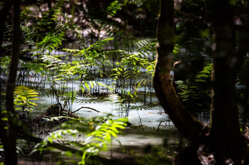 Captured in Tarpon Springs, Florida. Displayed in 4 x 6 Aspect Ratio. Images for home, office or hotels.