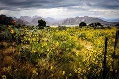 Captured near Virgin, Utah. Displayed in 8 x 10 Aspect Ratio. Images for home, office or hotels
