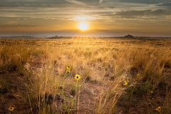 Captured near Moab, Ut.. Displayed in 5 x 7 Aspect Ratio. Images for home, office or hotels