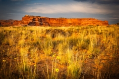 Captured near Moab, Ut.. Displayed in 5 x 7 Aspect Ratio. Images for home, office or hotels