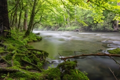 Captured along the Oconaluftee River.. Displayed in 5 x 7 Aspect Ratio.  Images for home, office or hotels.