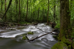 Captured along the Oconaluftee River.. Displayed in 4 x 5/8 x 10 Aspect Ratio.  Images for home, office or hotels.