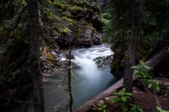 South Fork Mineral Creek, Waterfalls - Colorado